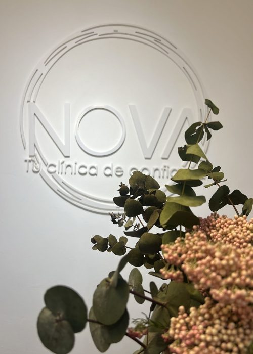 7b875e03-775c-42a6-8d2e-f73ea31416e0